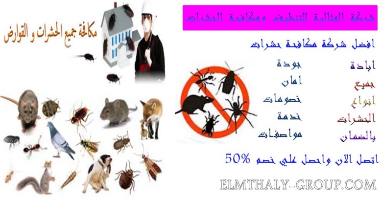 شركة المثالية لمكافحة الحشرات بالخبر